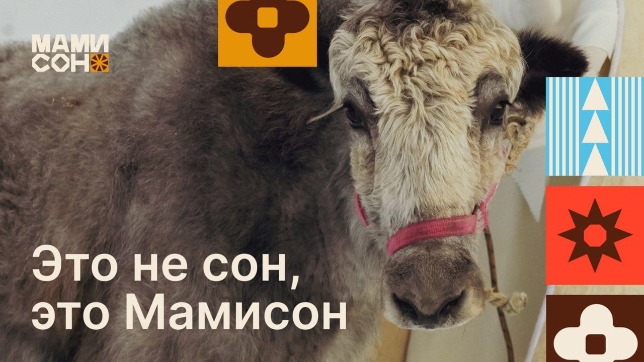 New Mamison Resort Website Features AI Guide and Interactive Maps