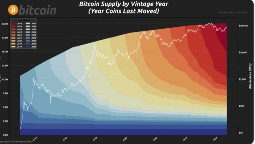 Почти 40% биткоинов не перемещались с 2022 года