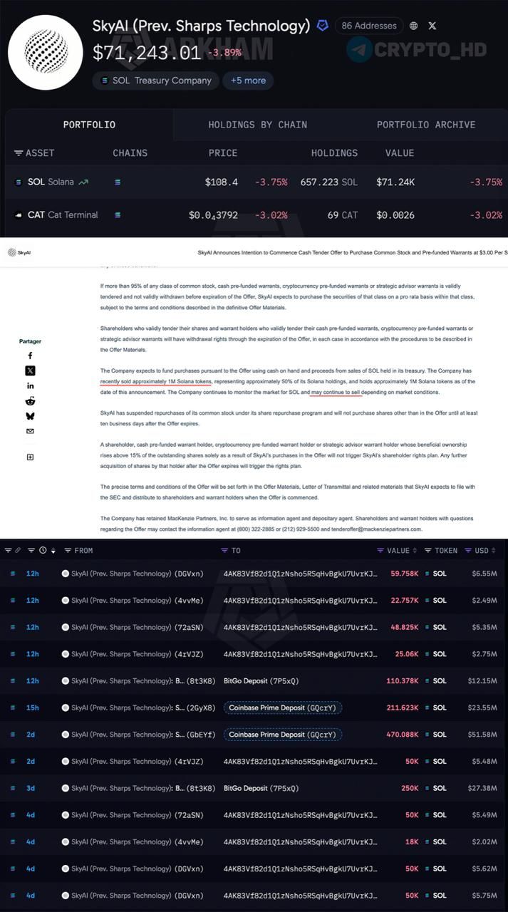 SkyAI распродала активы на сотни миллионов долларов