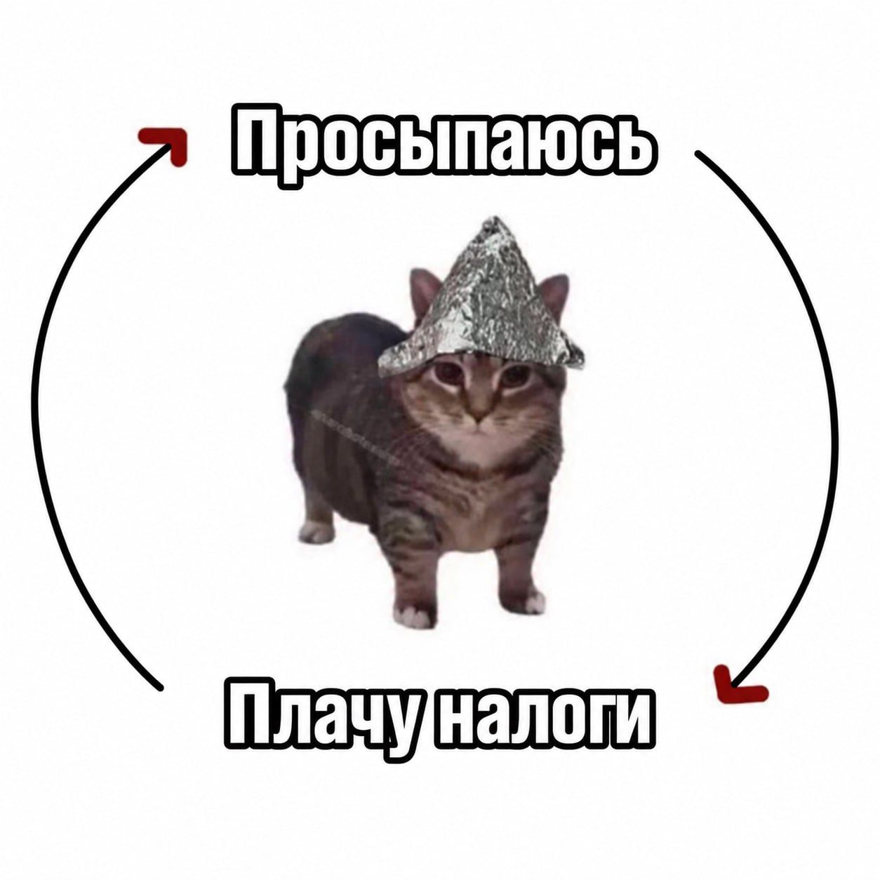 Что подорожает и изменилось в России с 1 октября