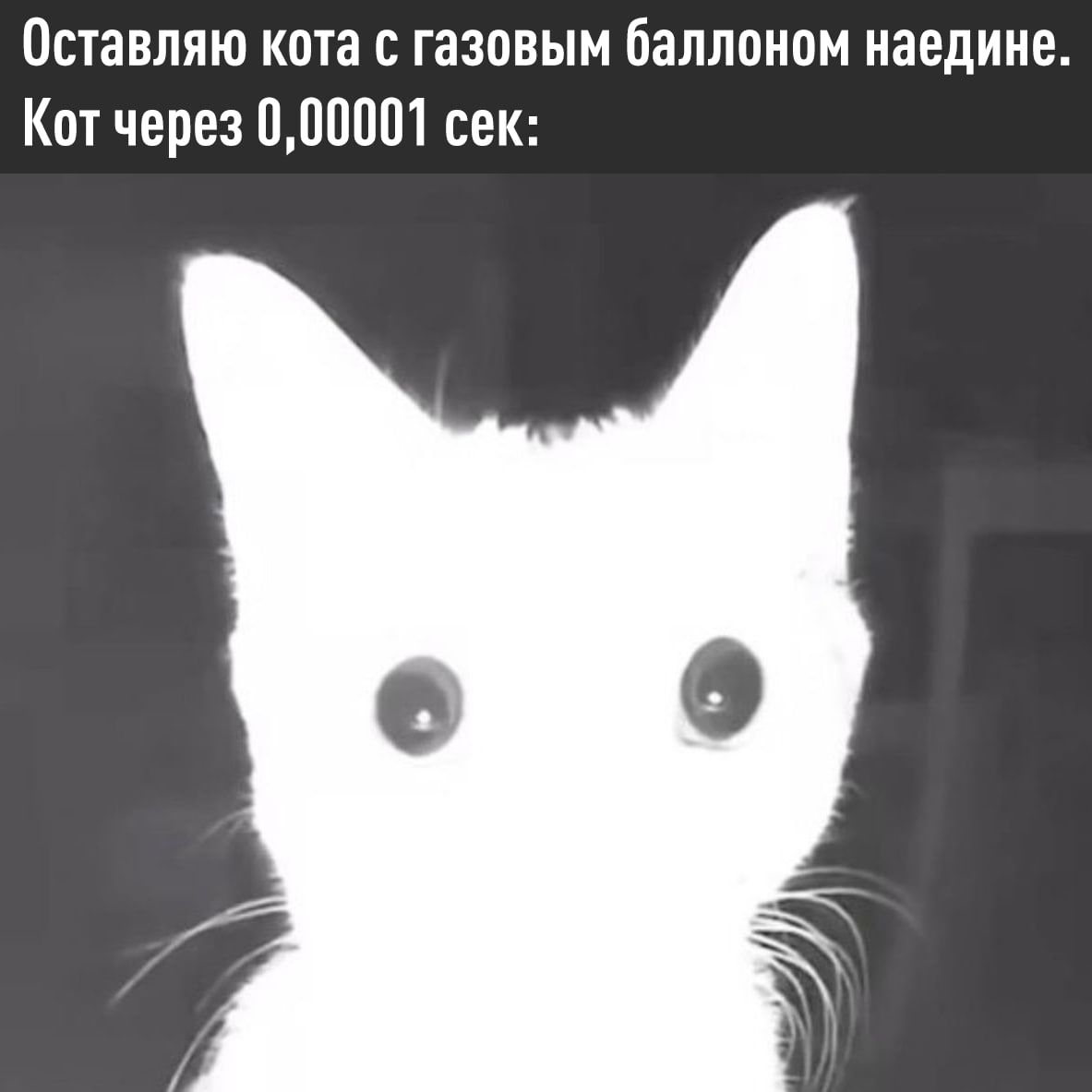 Кот взорвал квартиру в Одинцово: детали ЧП от МЧС