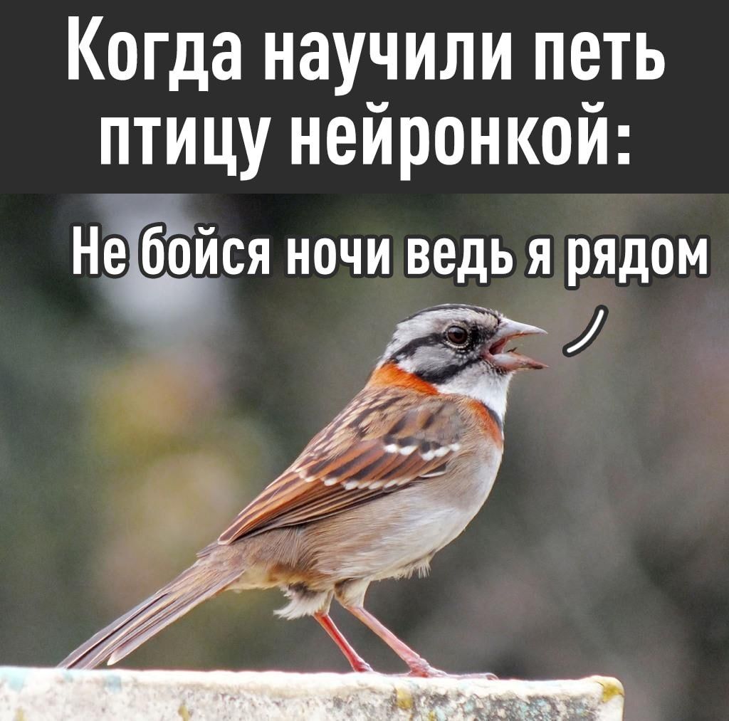 AI Restores 1960s Bird Songs for Population Conservation