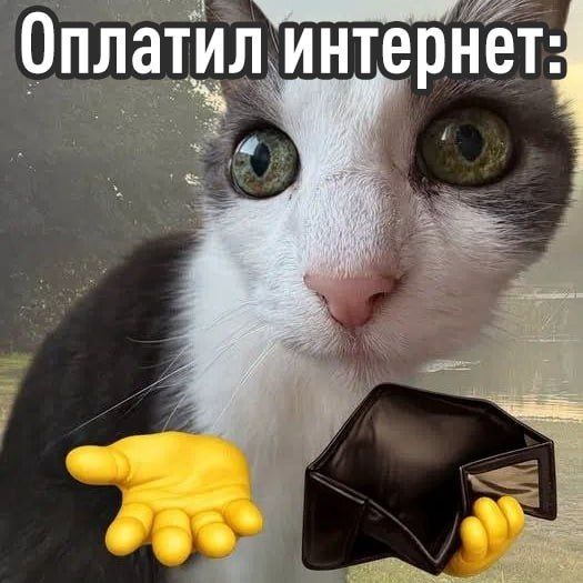 Интернет в России может подорожать на 10% из-за защиты дата-центров