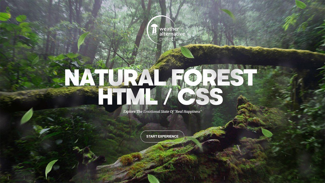 Creating a website with beautiful 3D effect