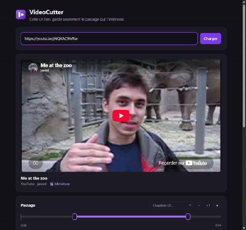 VideoCutter: Downloading Video Clips from YouTube