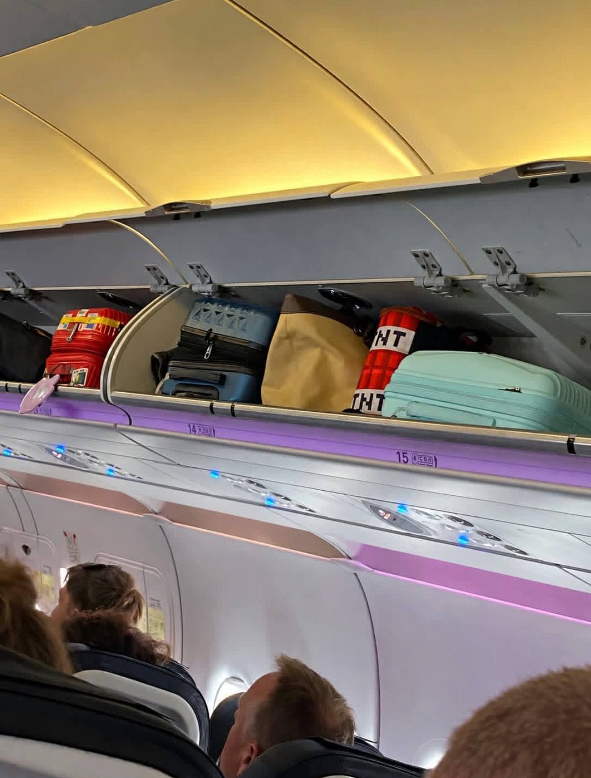 Minecraft bag - not the best option for a plane