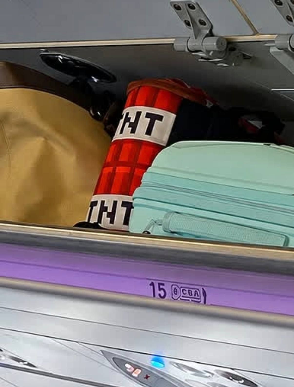 Minecraft bag - not the best option for a plane — 2