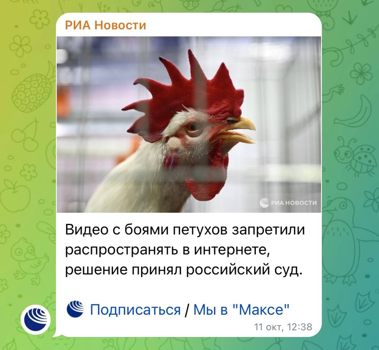 In Russia, videos of cockfights have been banned