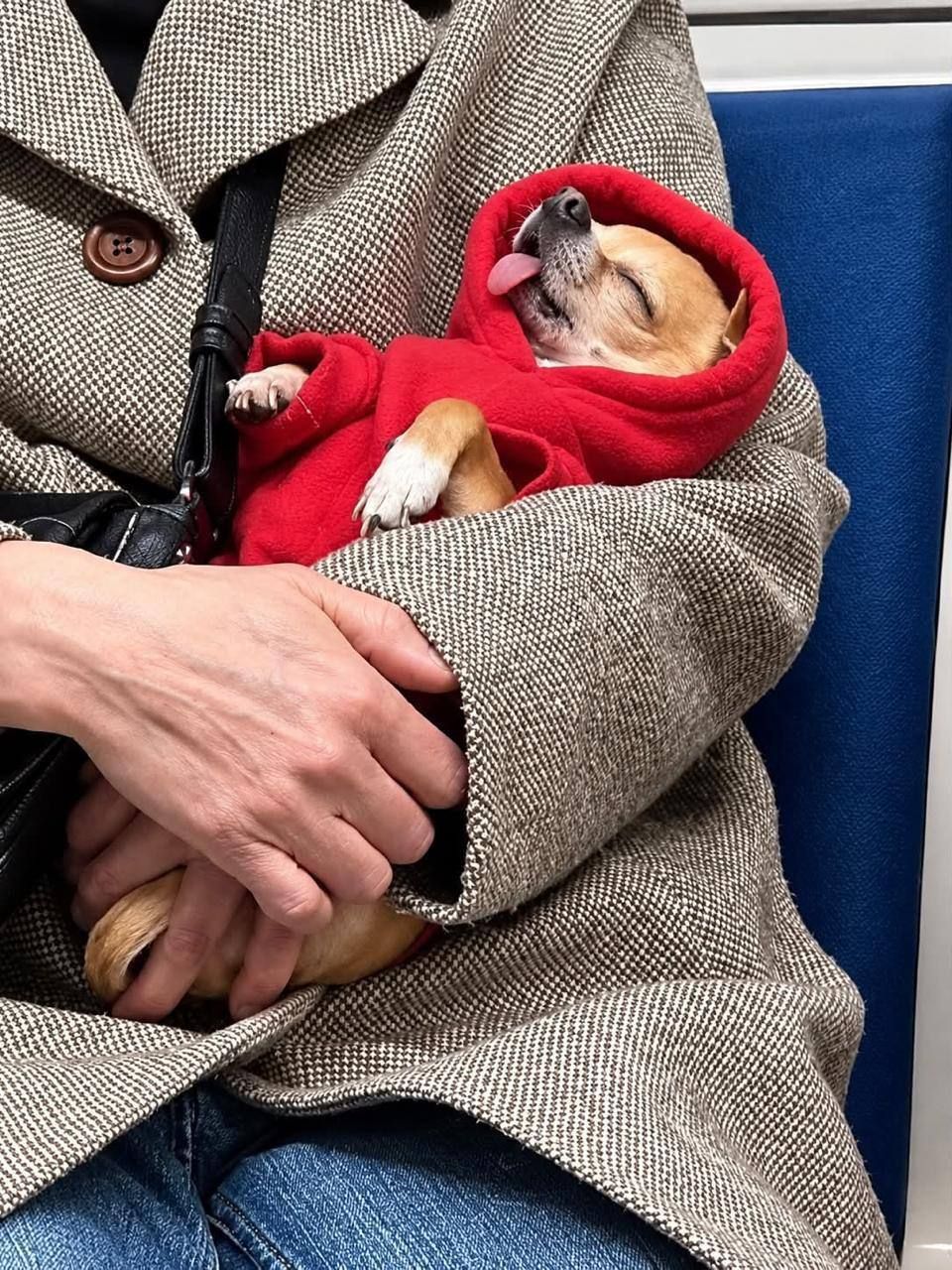 Самого уставшего работягу нашли в метро Москвы — 2
