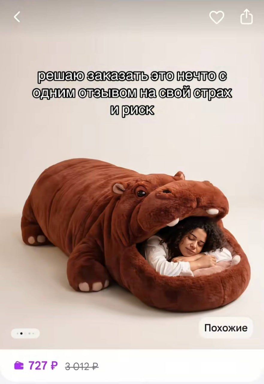 Giant Hippo Bed for 770 Rubles Becomes Market Newcomer — 2