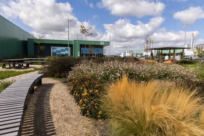 Microsoft masks data centers with forests and meadows — 3
