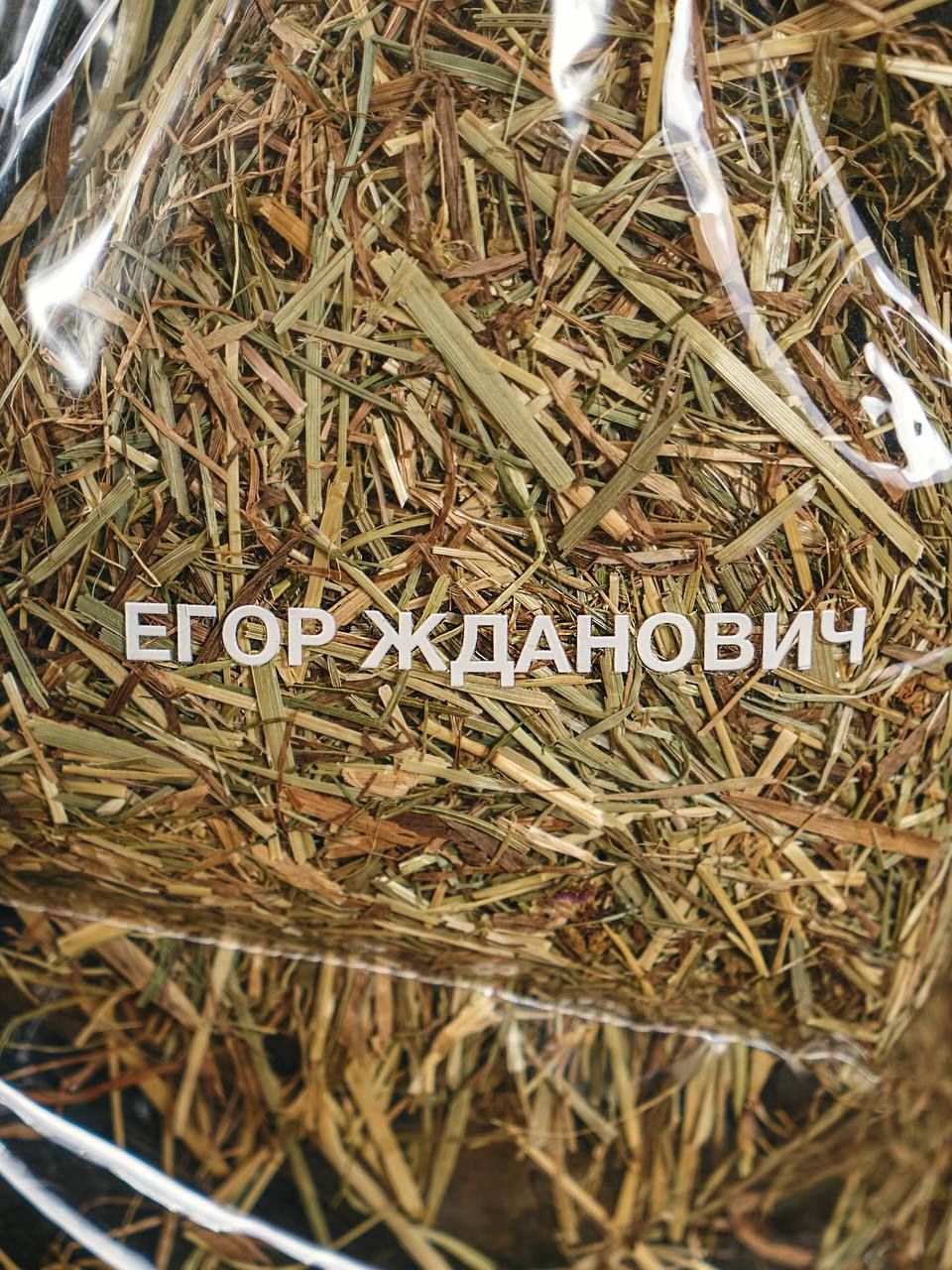Российский дизайнер выпустил прозрачный пуховик с наполнителем из белорусского сена — 5
