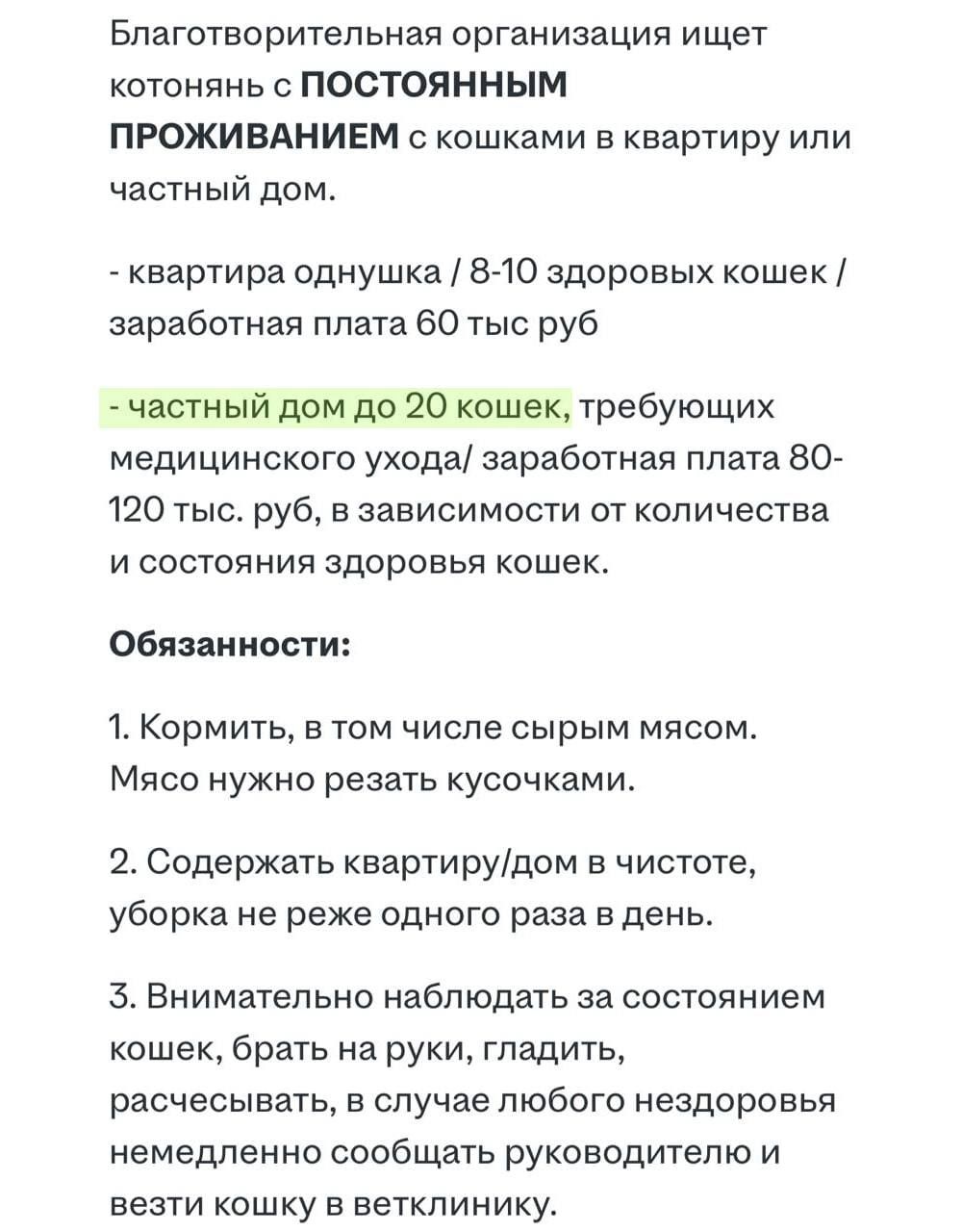 Котовняню с зарплатой 120 тысяч ищут в Москве — 2