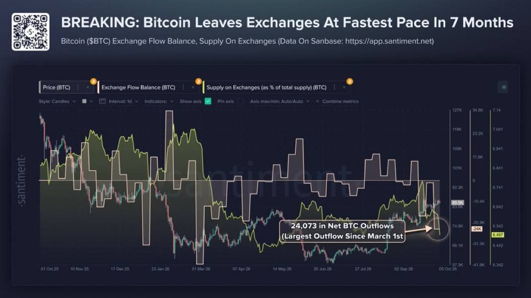 Крупные держатели накопили 86 702 BTC на фоне рекордного оттока