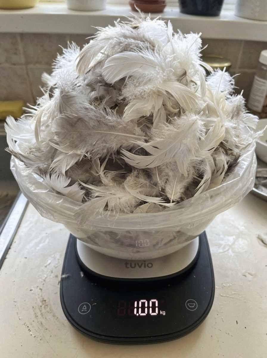 Lunnen Airs Contest: A Thousand Photos of One-Kilogram Items — 6