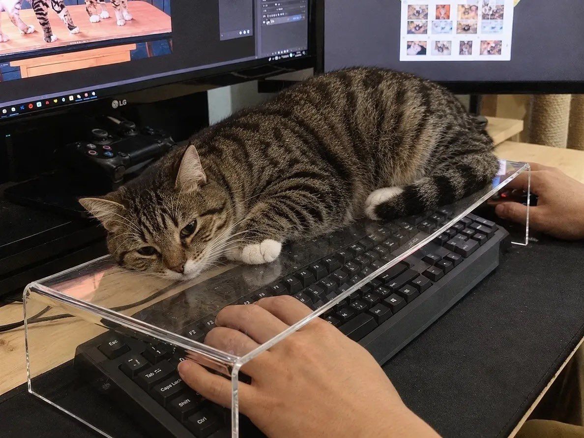 Transparent keyboard covers allow pets to sleep on the device