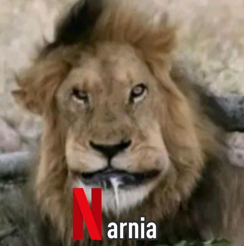 New "Narnia" From Netflix Called a Failure