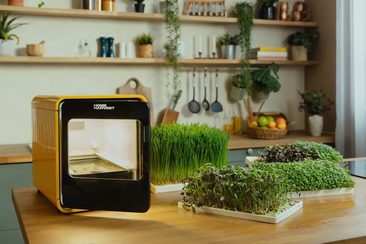 Home Harvest Smart Home Farm for Growing Vegetables