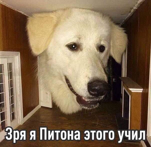 Ипотека для IT-специалистов: программа может закрыться в этом году