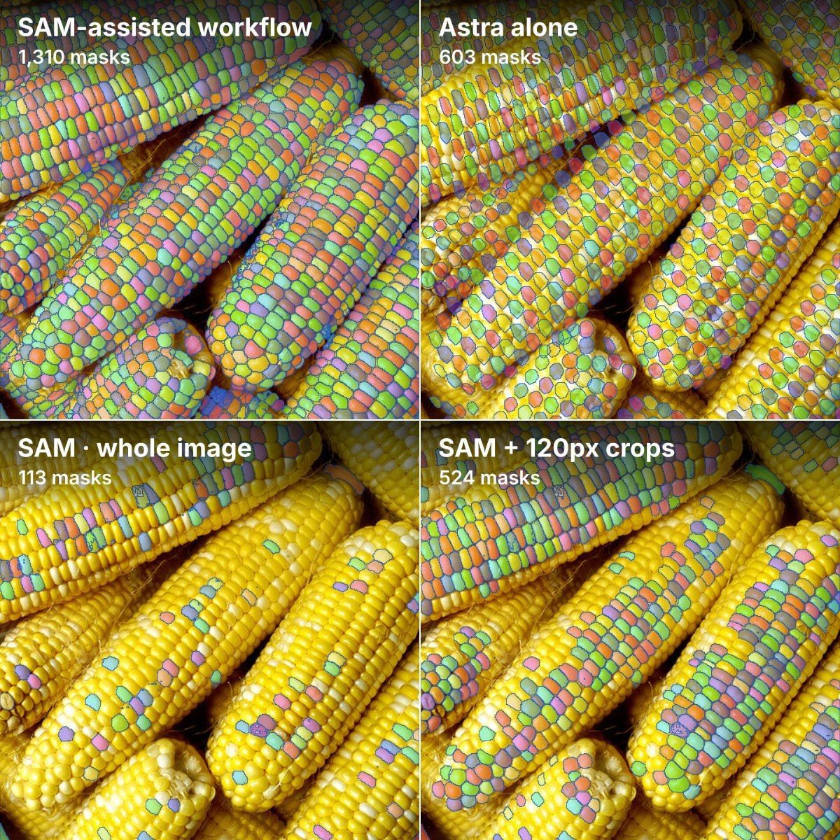 Neural Network Counts Corn: AI Capabilities