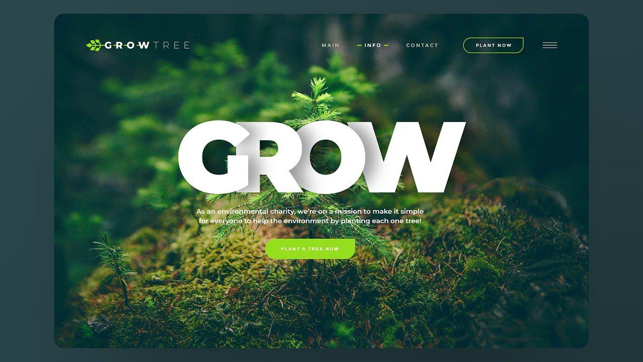 Header Animation on Scroll Using CSS Transition