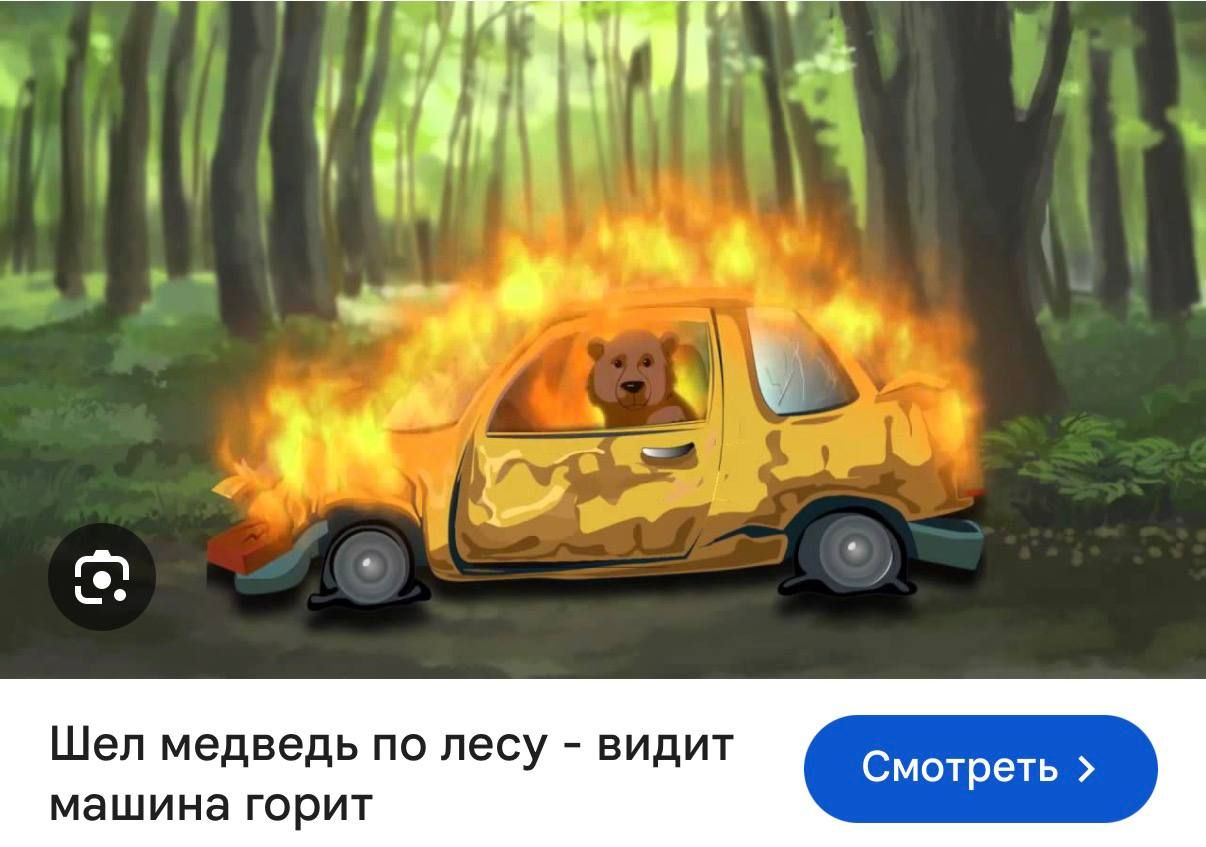 Smartphone Saves Teenager's Life from Bear in Altai