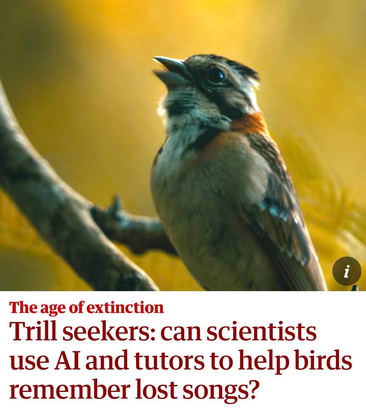 AI Helps Scientists Restore Bird Songs