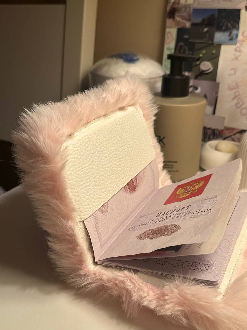 Russian woman creates the most glamorous passport cover — 4