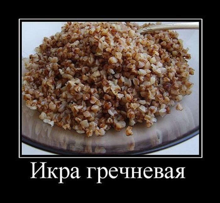 Красная икра подорожает в 5 раз из-за акул