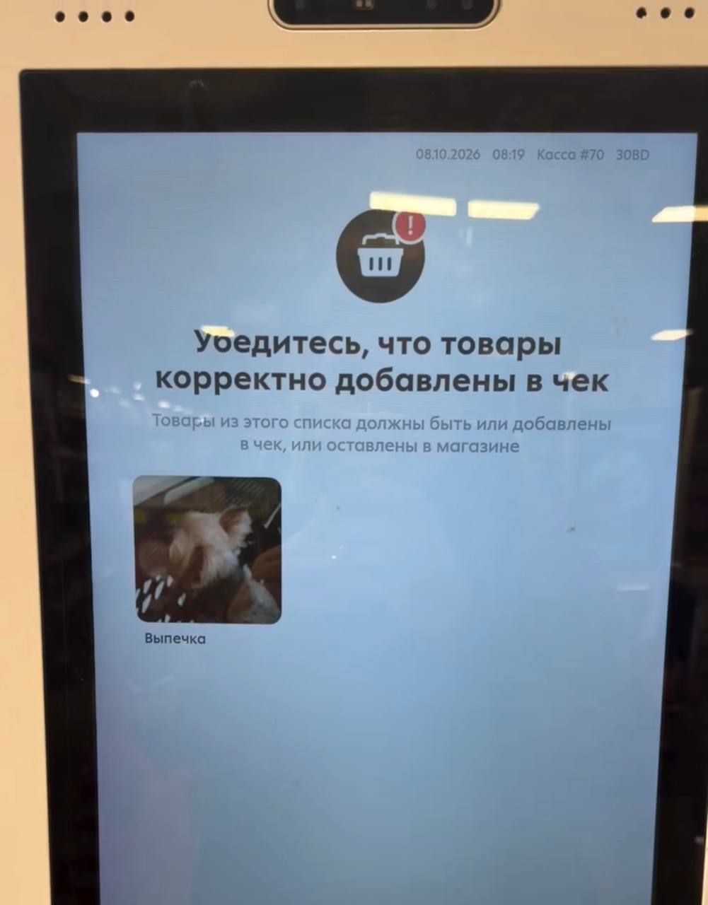 Cuteness: Self-service checkout mistakes dog for golden bun — 2