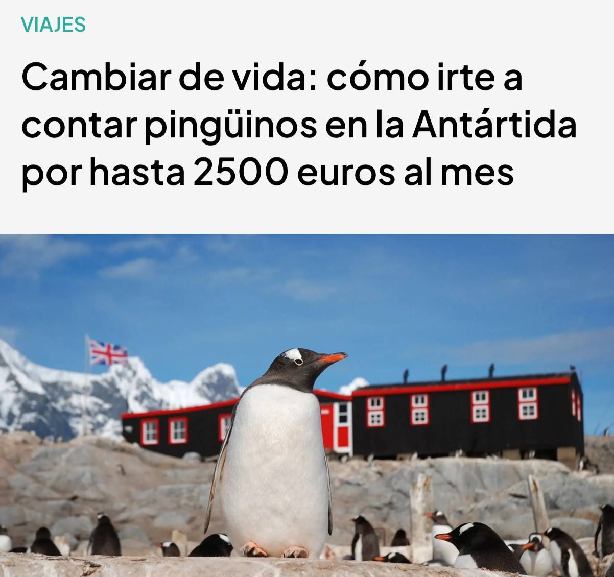 Penguin Keeper with 235k Ruble Salary Sought in Antarctica