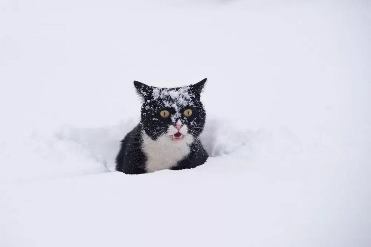 ❗️Moscow will be covered in snow in just a week