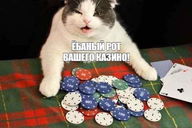 ❗️ Онлайн-казино легализуют в России